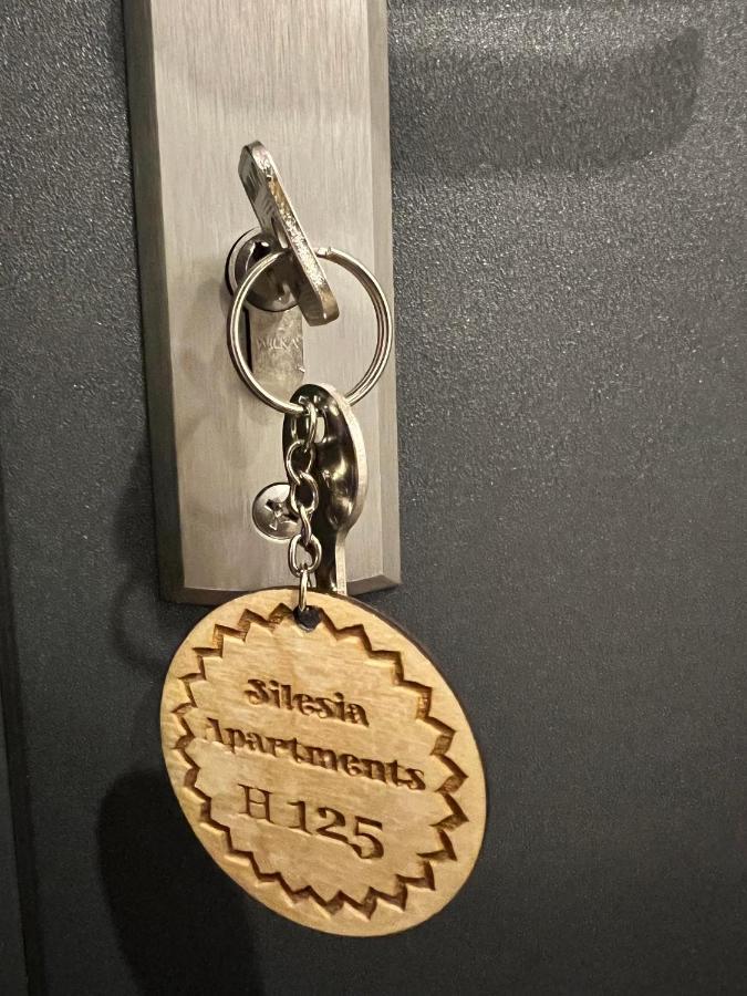 Silesia Apartments Ustron H125 ภายนอก รูปภาพ